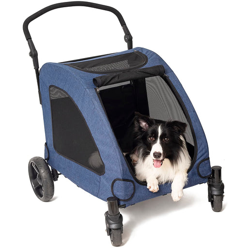 Black and white Border Collie sitting inside blue pet stroller with mesh windows and handle