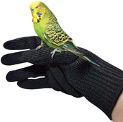 Yellow and green budgie perched on black anti-bite gloves designed for safe bird handling
