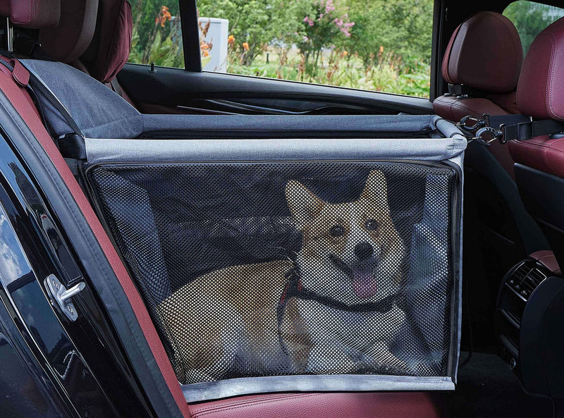 Two dogs behind black mesh car barrier in vehicle backseat with red leather interior