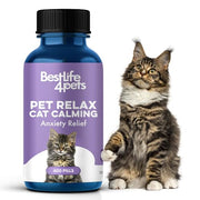 Blue bottle of BestLife4Pets cat calming pills with purple label next to fluffy Maine Coon kitten