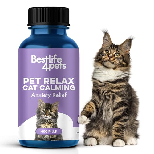 Blue bottle of BestLife4Pets cat calming pills with purple label next to fluffy Maine Coon kitten