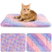 Orange tabby cat on colorful pet blanket with two pattern swatches showing paw prints and stars