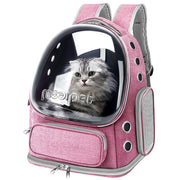 Pink bubble window cat backpack with gray Scottish Fold cat inside transparent dome compartment