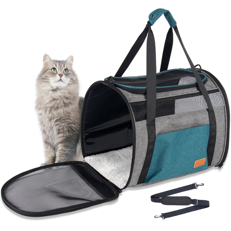 Gray tabby cat sitting beside teal and gray soft-sided pet carrier with mesh windows
