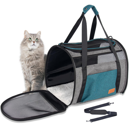 Gray tabby cat sitting beside teal and gray soft-sided pet carrier with mesh windows