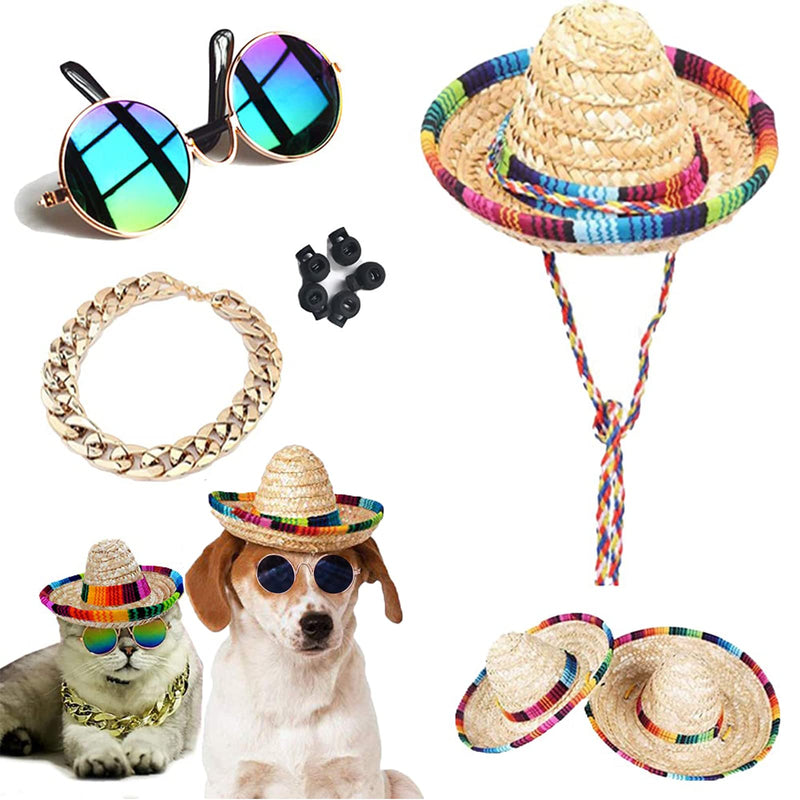 Cat and dog wearing mini straw sombreros sunglasses and gold chain collar costume set