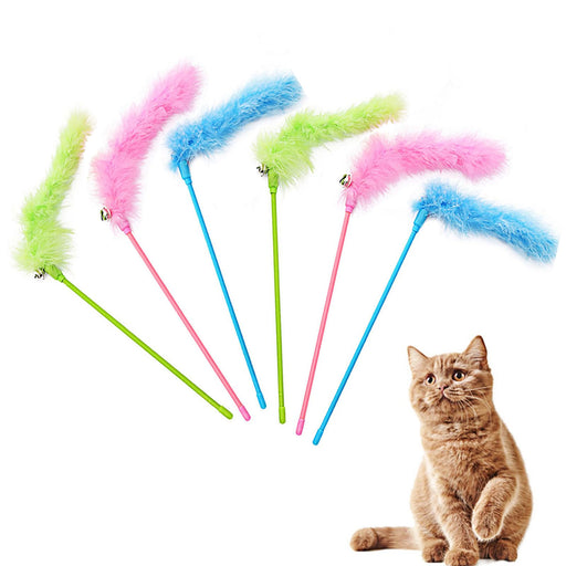 Six colorful feather wand cat toys with fluffy tips displayed beside an orange tabby cat