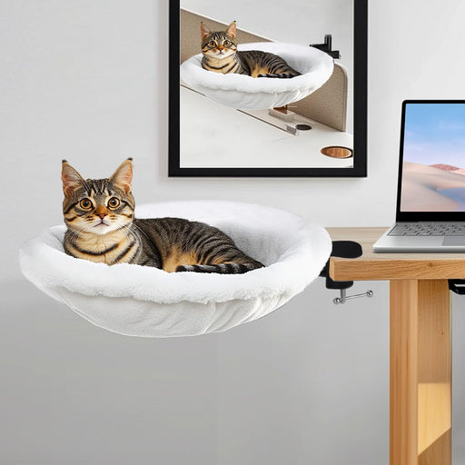 Tabby cat resting in white plush hammock bed attached to wooden desk with laptop