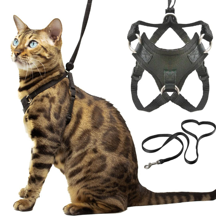Bengal cat wearing black escape-proof harness with matching leash and separate harness components