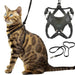 Bengal cat wearing black escape-proof harness with matching leash and separate harness components