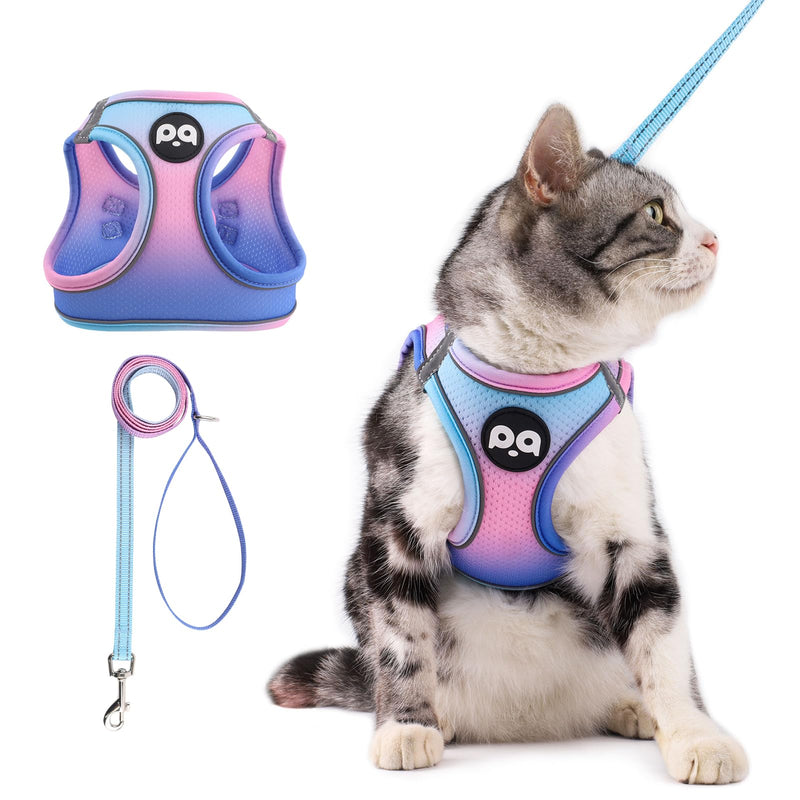 Pink and blue gradient cat harness with matching leash displayed separately and worn by tabby cat