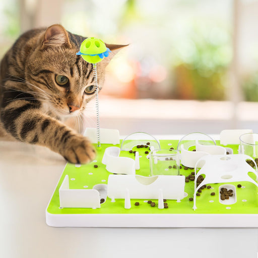 Tabby cat playing with green and white interactive puzzle feeder with treat compartments