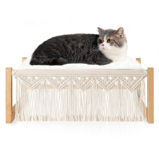 Gray and white cat lying on boho macrame hammock bed with wooden frame against white background