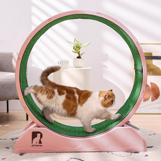 Orange and white cat walking inside pink carpeted exercise wheel with green running surface