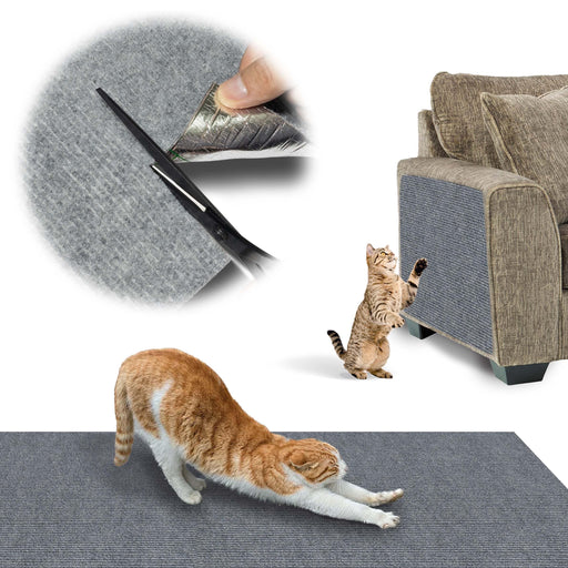 Orange and white cat stretching on blue scratch mat with tabby cat scratching furniture behind