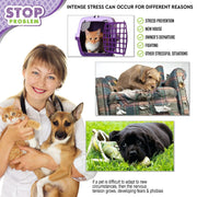 Veterinarian holding cat and dog with stress prevention infographic showing pet carrier and