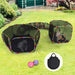 Multi-level cat tunnel playground with rainbow trim set up on green lawn with two cats inside