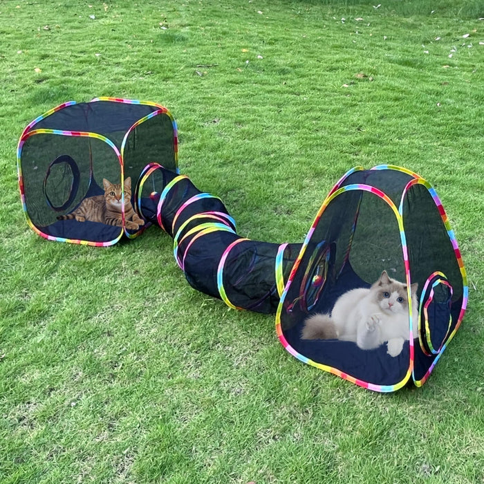Two cats playing in colorful rainbow-trimmed black mesh tunnel playpen system on green grass