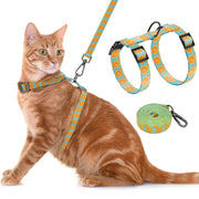 Orange tabby cat wearing turquoise harness with orange slice pattern, showing harness and leash set