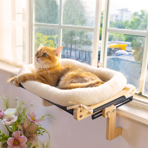 Orange tabby cat relaxing on wooden window perch with white cushion, sunlight streaming through