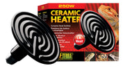 Black ceramic heat emitter bulb next to red Exo Terra 250W packaging with bearded dragon
