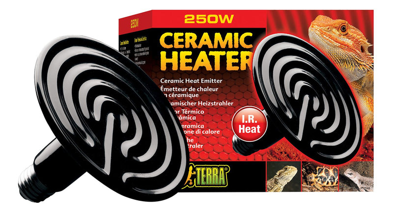 Black ceramic heat emitter bulb next to red Exo Terra 250W packaging with bearded dragon