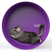 Gray chinchilla lying inside purple aluminum exercise wheel with ventilation holes