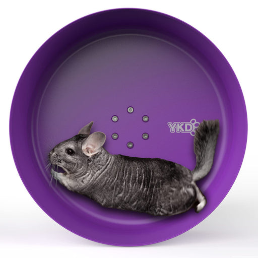 Gray chinchilla lying inside purple aluminum exercise wheel with ventilation holes
