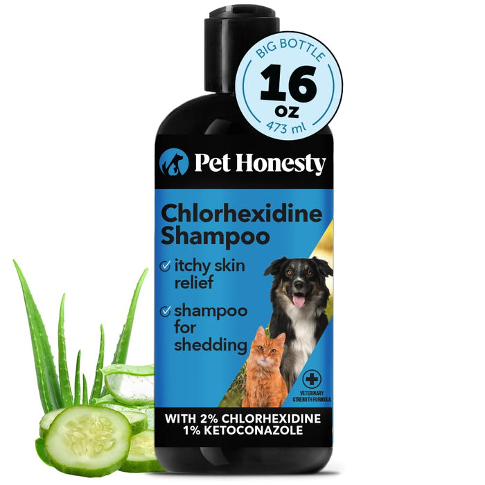 Black bottle of Pet Honesty Chlorhexidine Shampoo with blue label showing dog and cat, 16 oz size