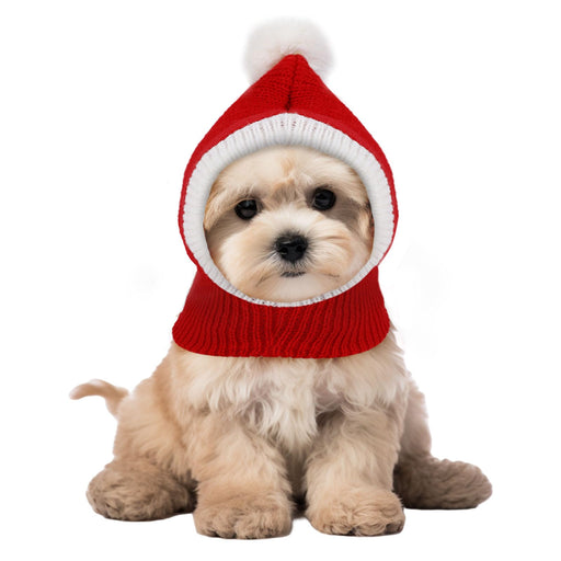 Small fluffy puppy wearing red and white knitted Christmas hat with pom pom sitting on white