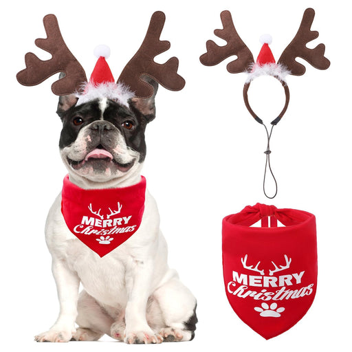French Bulldog wearing brown reindeer antlers and red Christmas bandana next to costume accessories