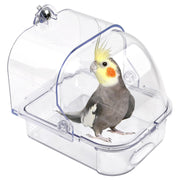 Clear acrylic bird bath with gray cockatiel featuring yellow crest and orange cheek patches