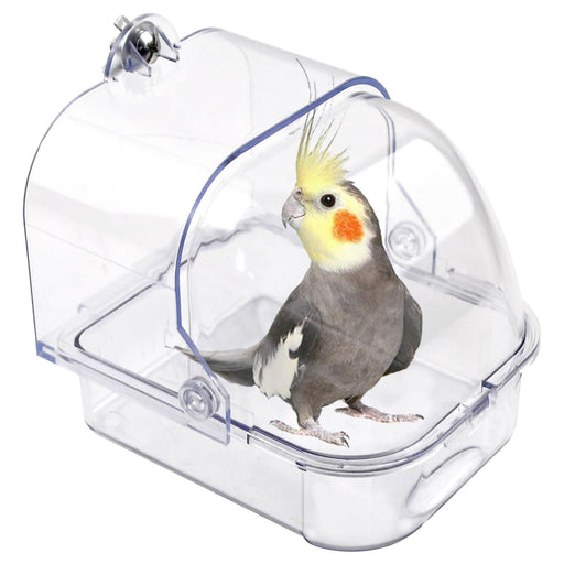 Clear acrylic bird bath with gray cockatiel featuring yellow crest and orange cheek patches