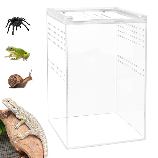 Clear acrylic reptile terrarium with ventilation holes and various small animals including