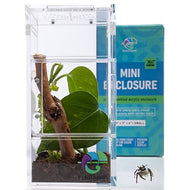 Clear acrylic terrarium with plant and branch next to Mini Closure product box