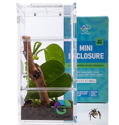 Clear acrylic terrarium with plant and branch next to Mini Closure product box