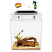 Clear acrylic reptile terrarium with driftwood, air plant, and sand substrate plus accessories