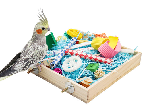 Gray cockatiel with yellow crest perched beside wooden foraging box filled with colorful toys