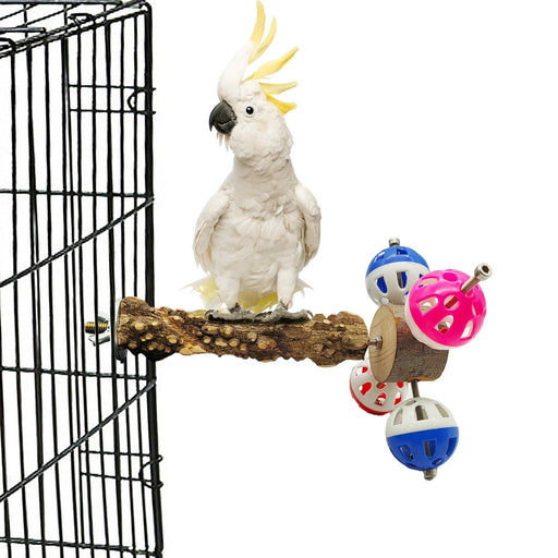 White cockatoo perched on natural wood branch with colorful hanging bells and cage visible