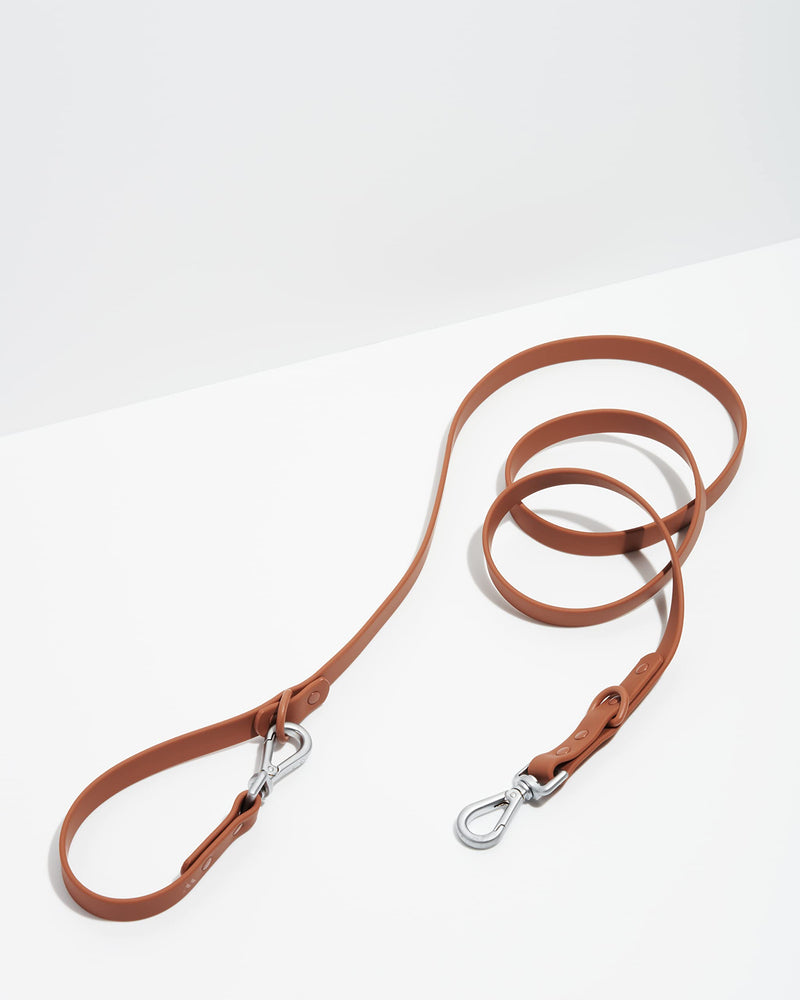 Wild One cocoa brown dual-length dog leash coiled with two silver carabiner clips