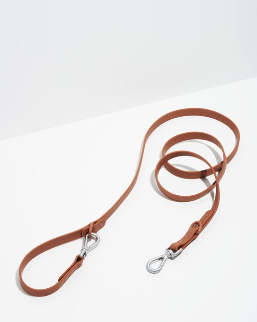 Cocoa brown dual-clip dog leash coiled on white surface with silver carabiner clips
