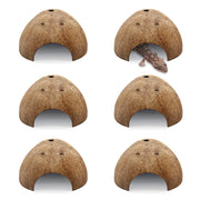 Six natural coconut shell hideouts arranged in grid, one showing gecko emerging from entrance