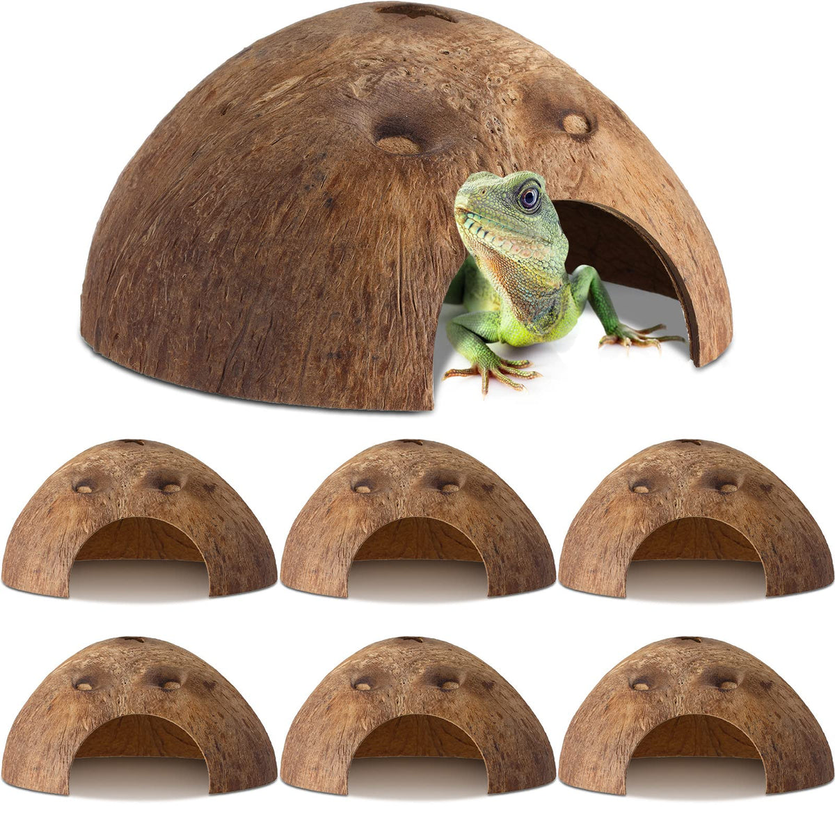 Natural Coconut Shell Reptile Hideouts 6 Pack | TailRings.com