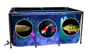 Large collapsible fish pond with three compartments showing different fish species in circles