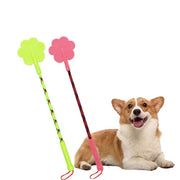 Green and pink flower-shaped dog training sticks with long handles next to happy corgi