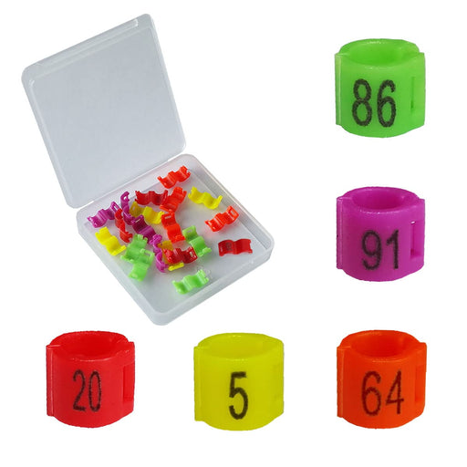 Colorful numbered bird leg bands in red, green, yellow, purple, and orange with numbers visible