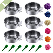 Complete Bird Feeding Starter Kit with Bowls