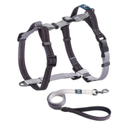 Gray and black reflective dog harness with matching leash displayed on white background