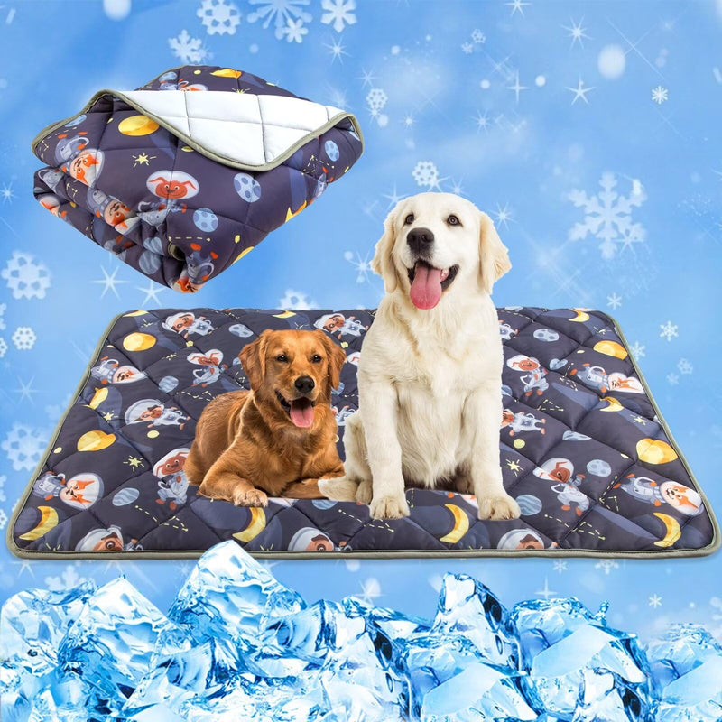 Two dogs sitting on space-themed cooling mat with matching blanket and ice cubes below