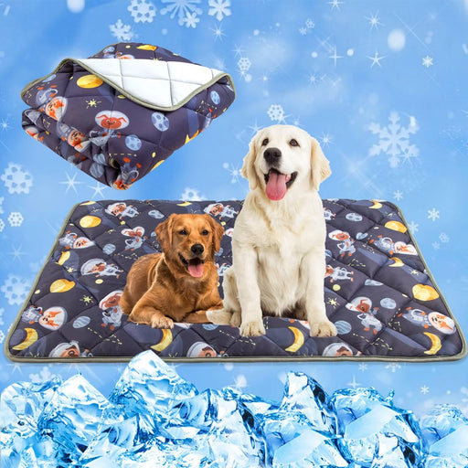 Two dogs sitting on space-themed cooling mat with matching blanket and ice cubes below